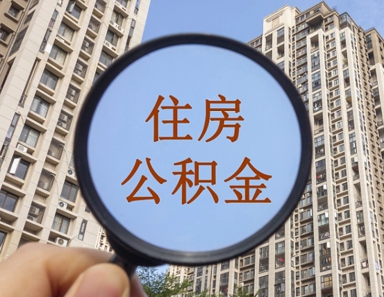 蚌埠退休后查不到公积金明细了吗（退休后公积金查询不到原因）